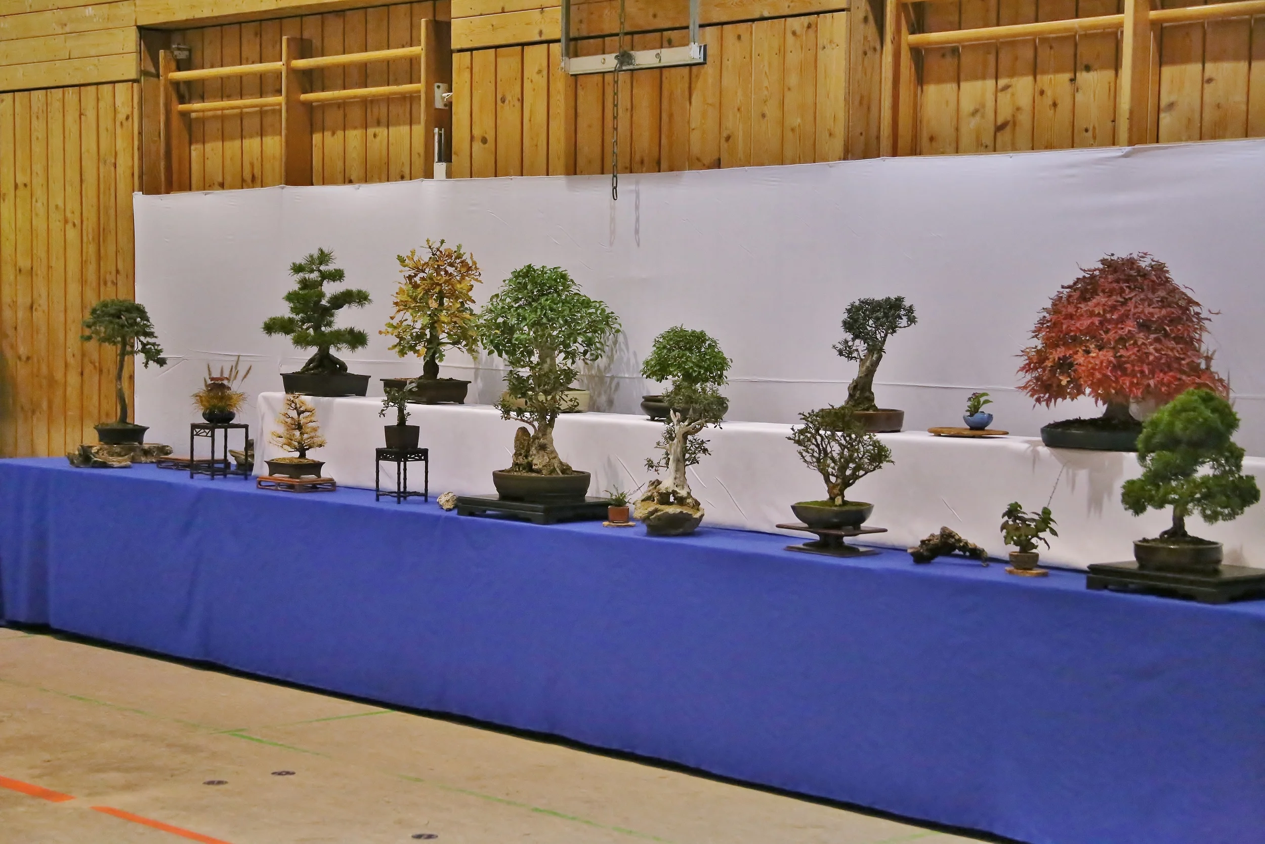 Arbeitskreis-Ausstellung Gröbenzell 2015