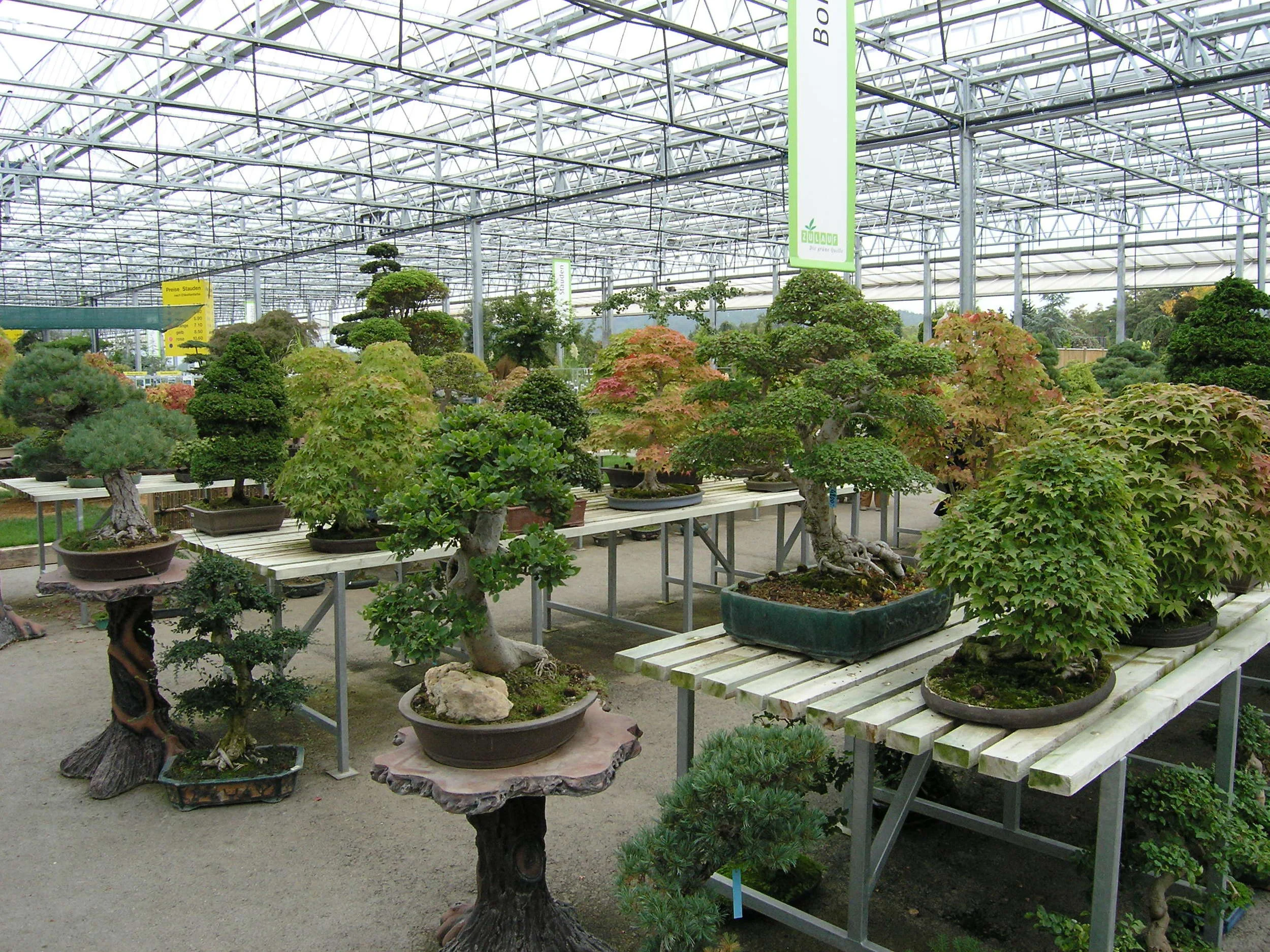 Besuch bei Pius Notter und der Zulauf AG