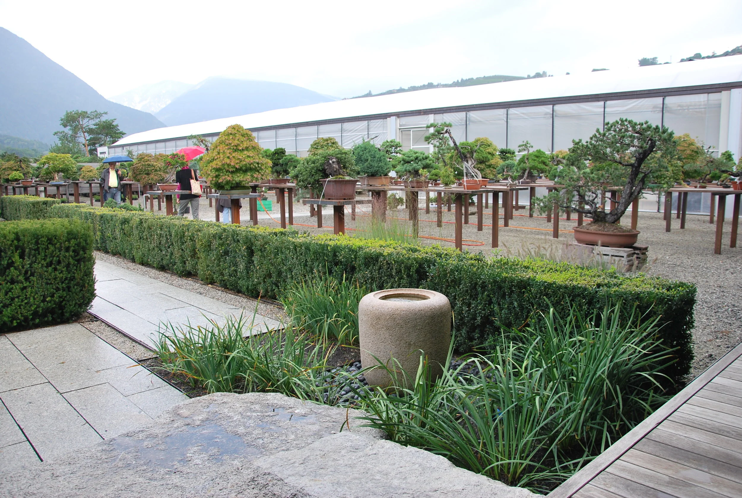 Besuch bei Othmar Auer 