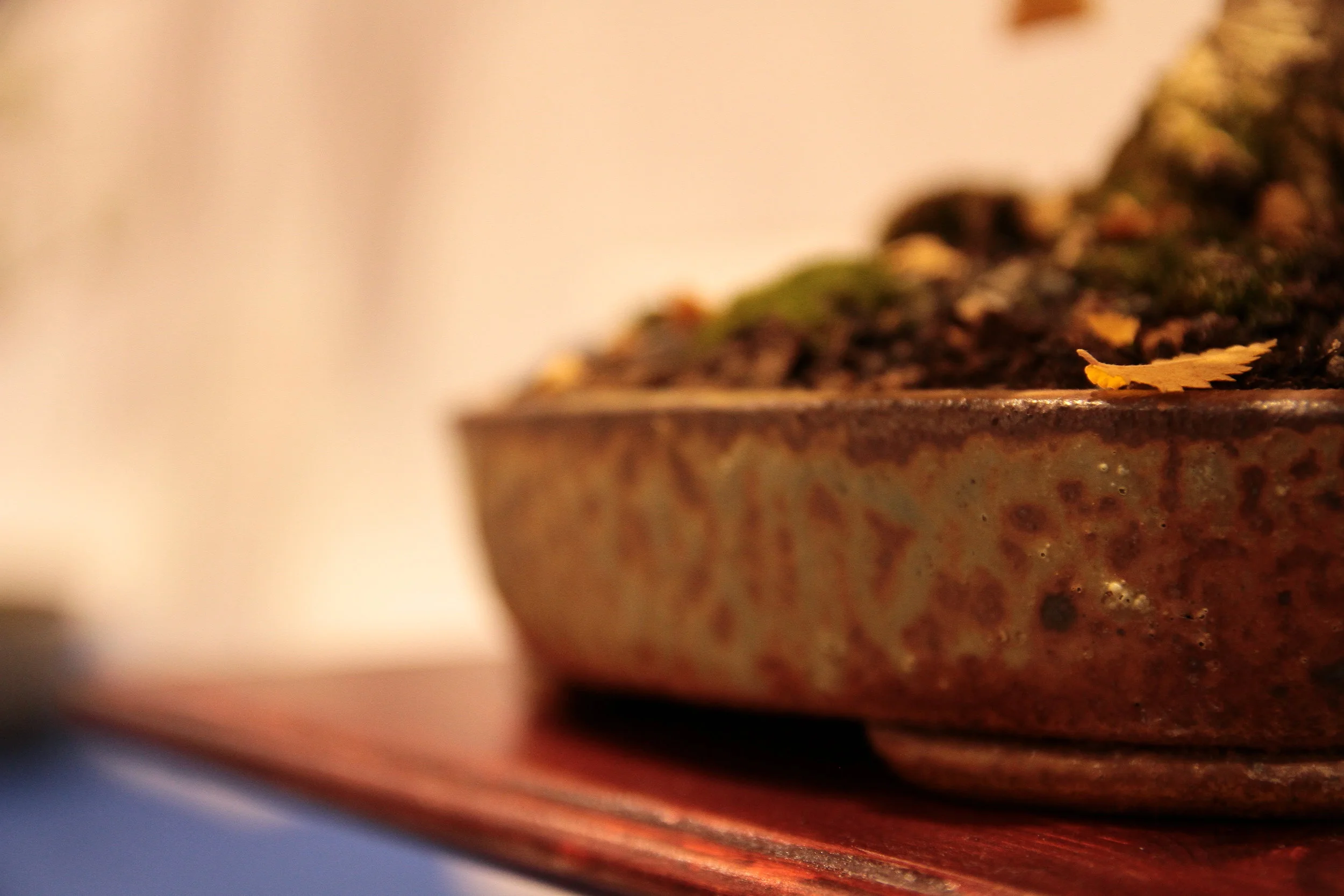 Arbeitskreis-Ausstellung Gröbenzell 2016