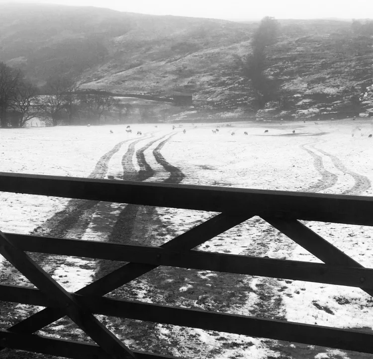 Blog resurrected and tales of the Lakes !