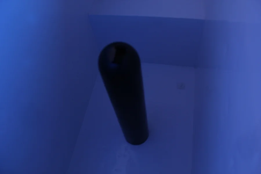 cushla19.jpg