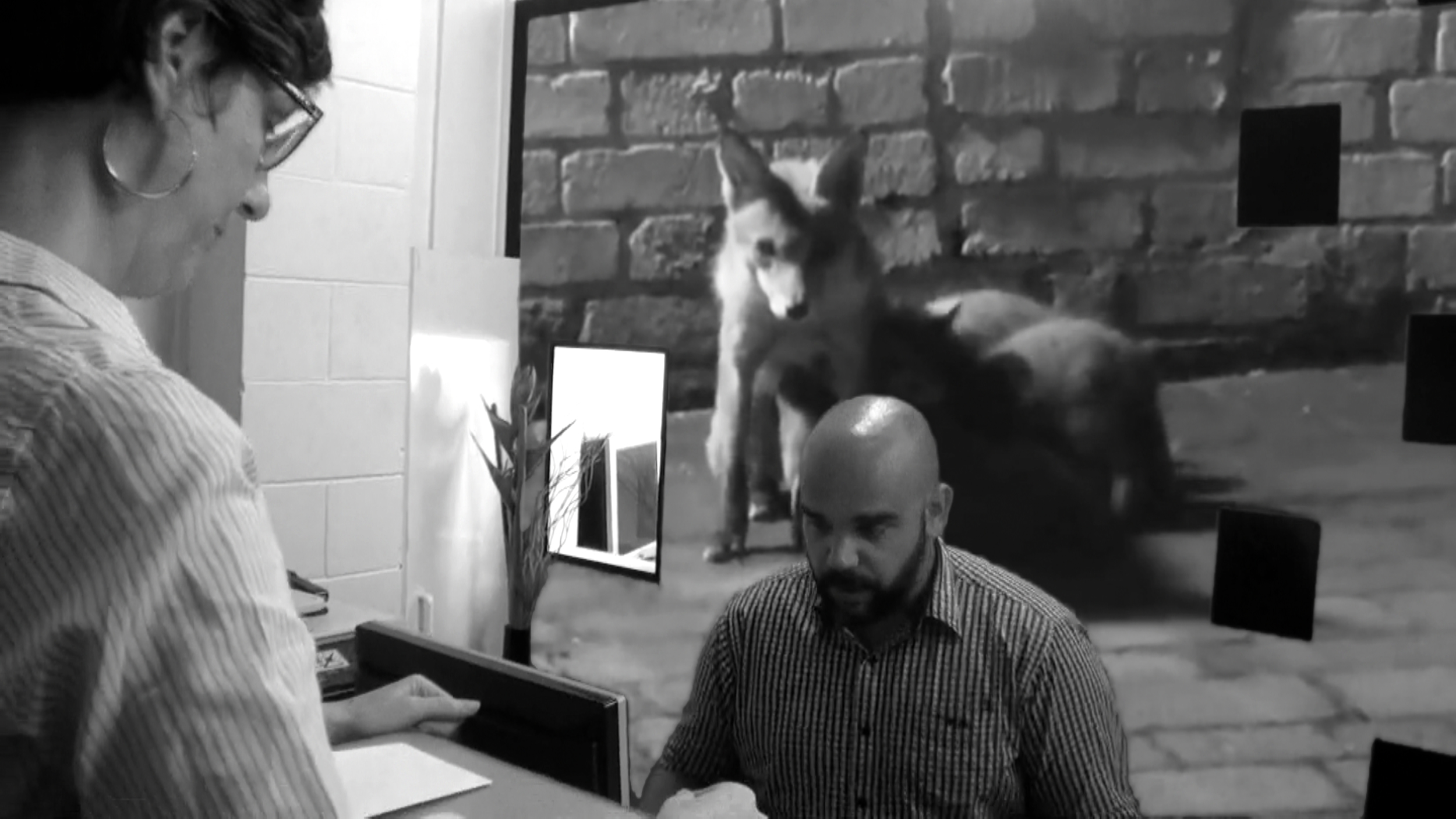 " VideoStill2.jpg