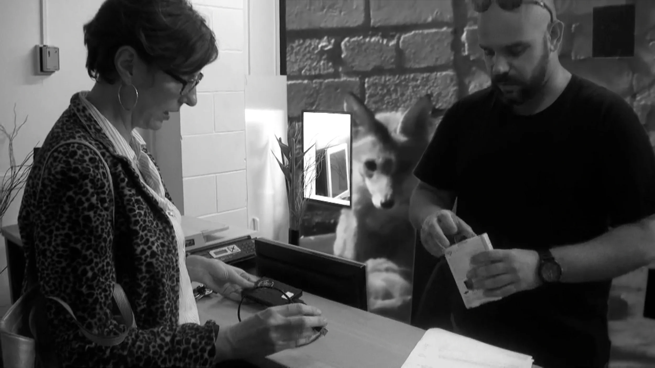 " VideoStill6.jpg