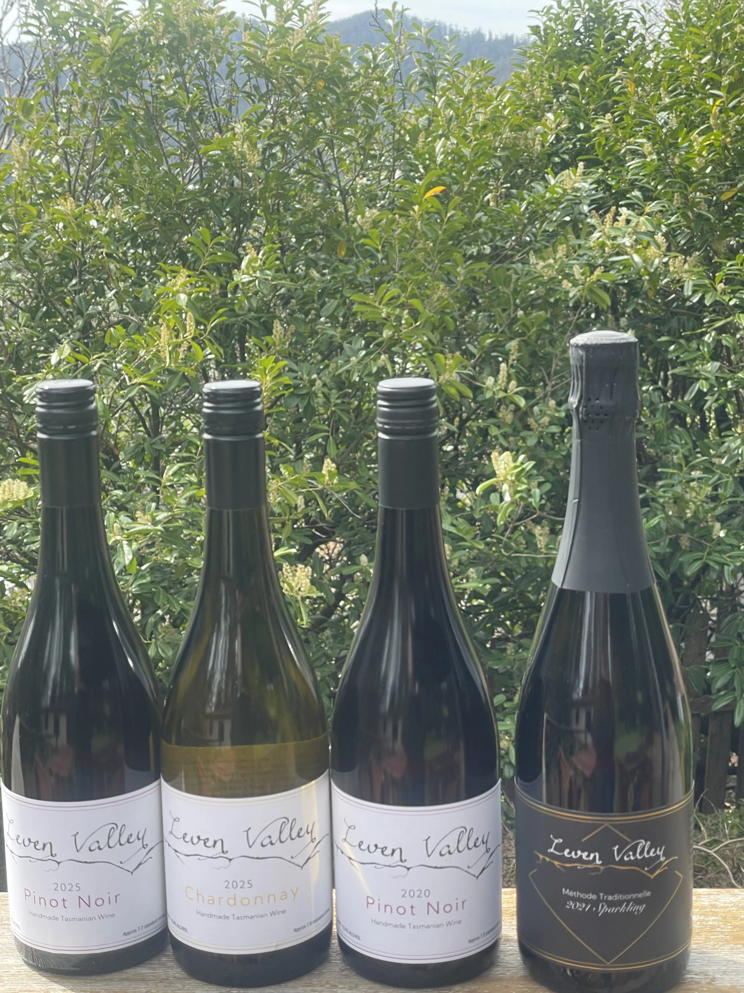 all bottles.jpeg