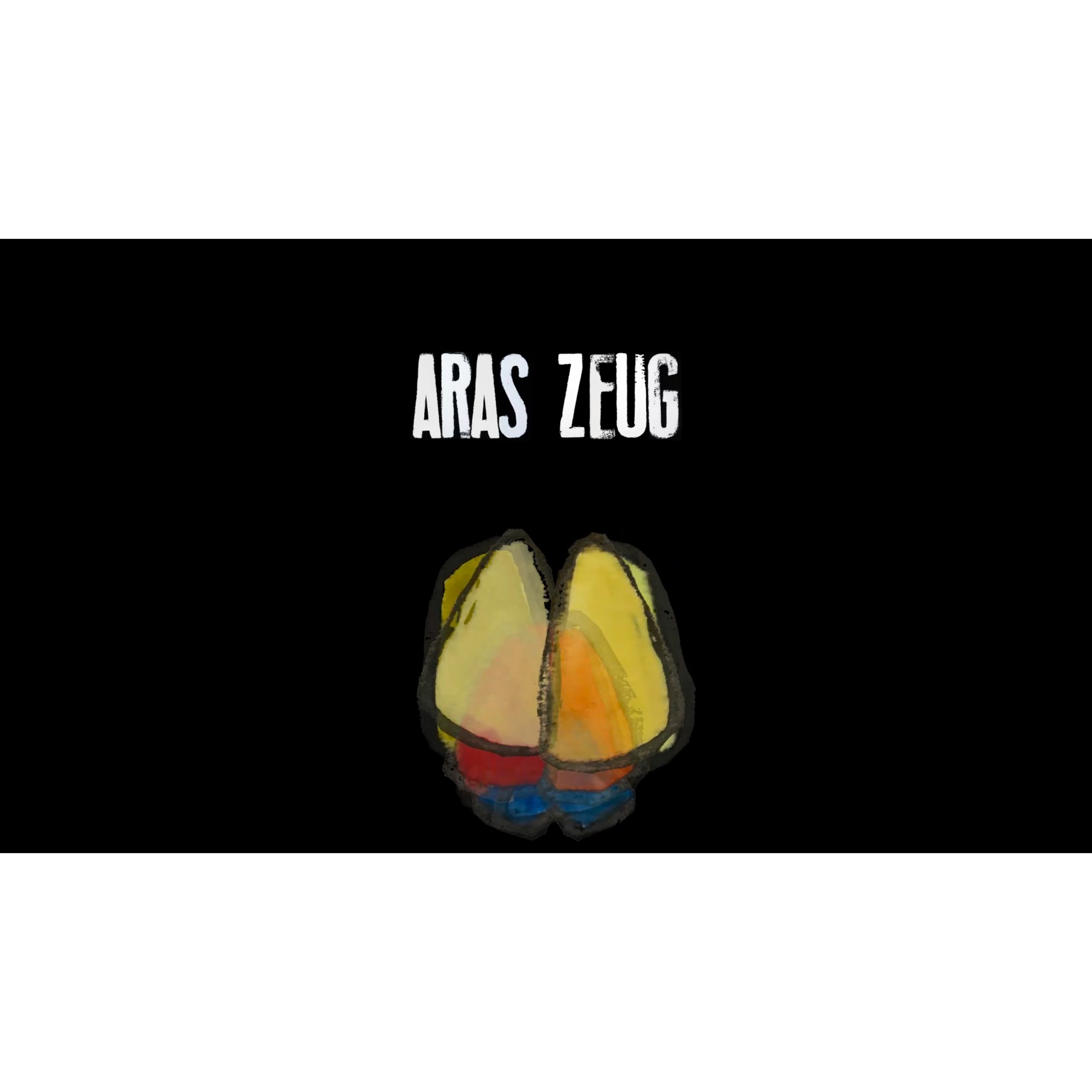 Aras Zeug MEDIA.jpg