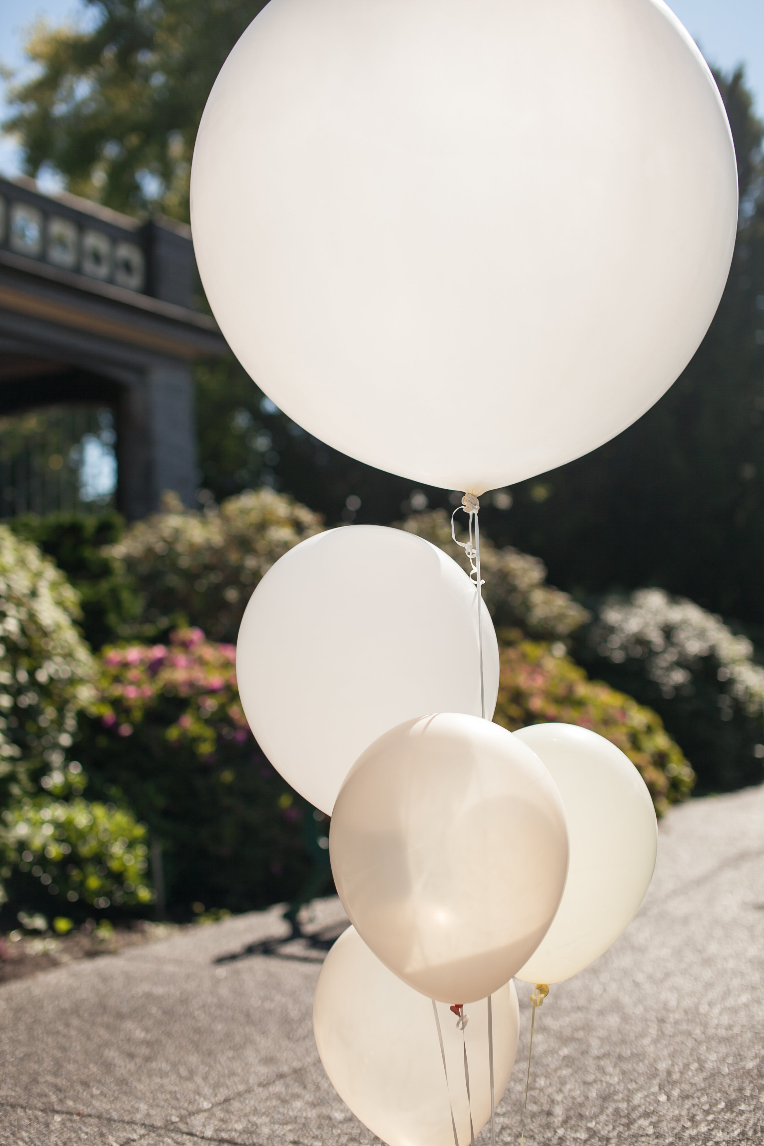 Vancouver Wedding Ballon