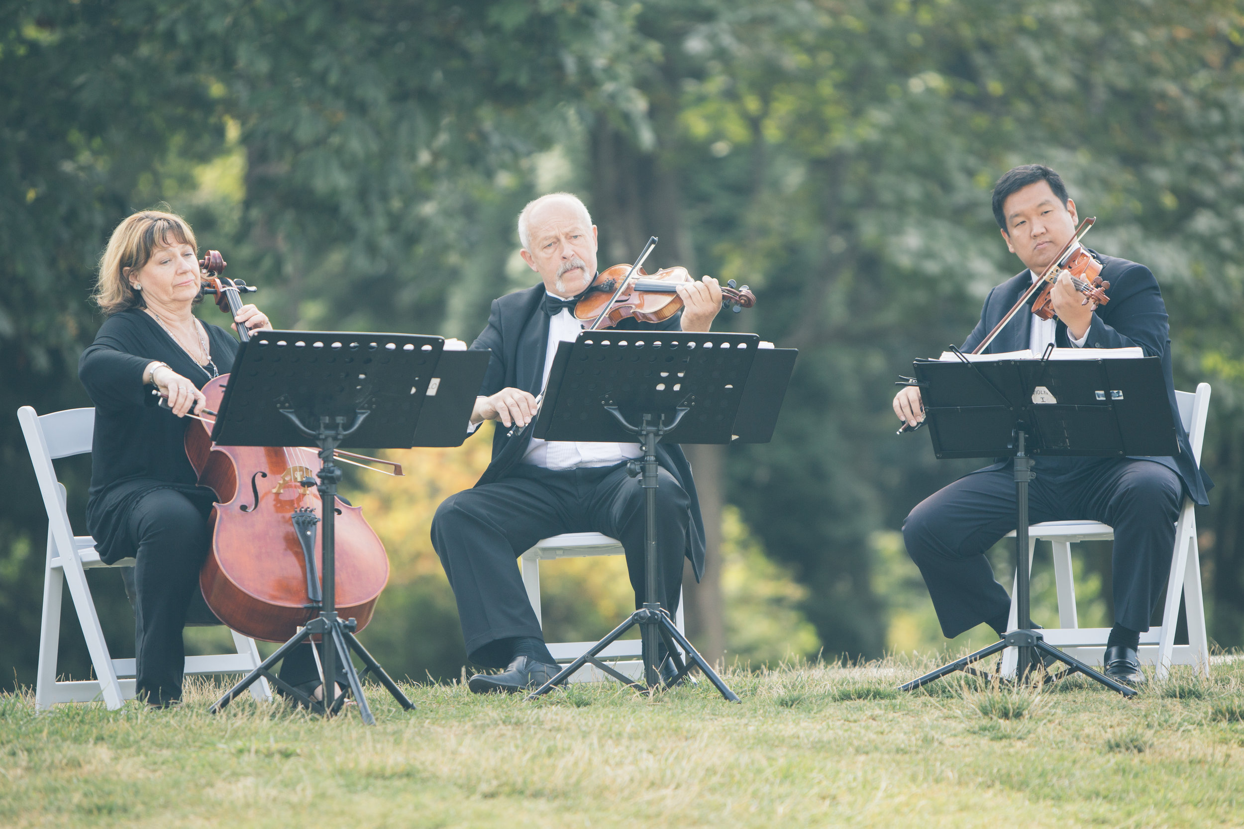 Vancouver Wedding Musician