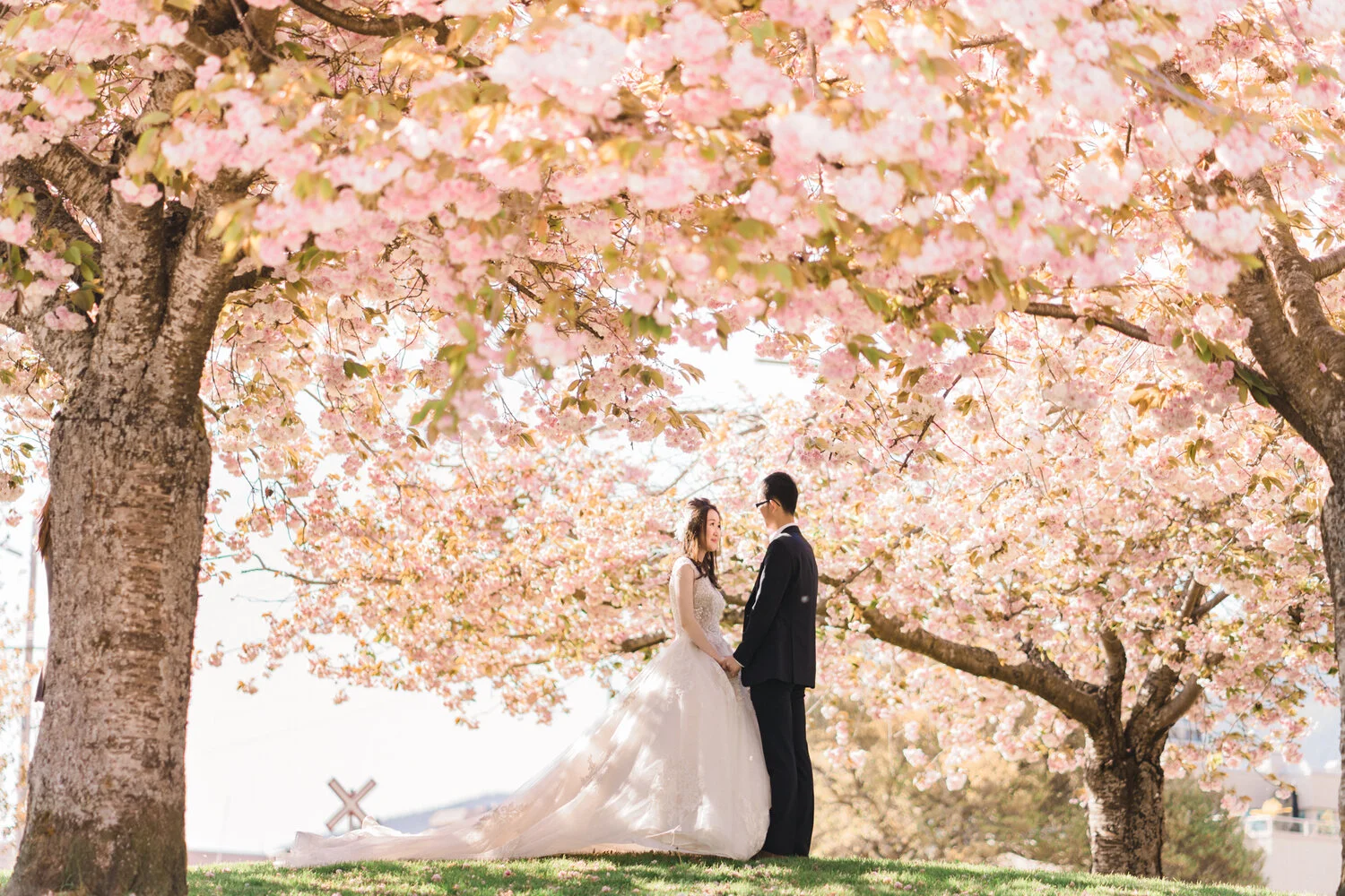 20190506_Olivia&Bing_PreWedding_ (20 of 93).jpg