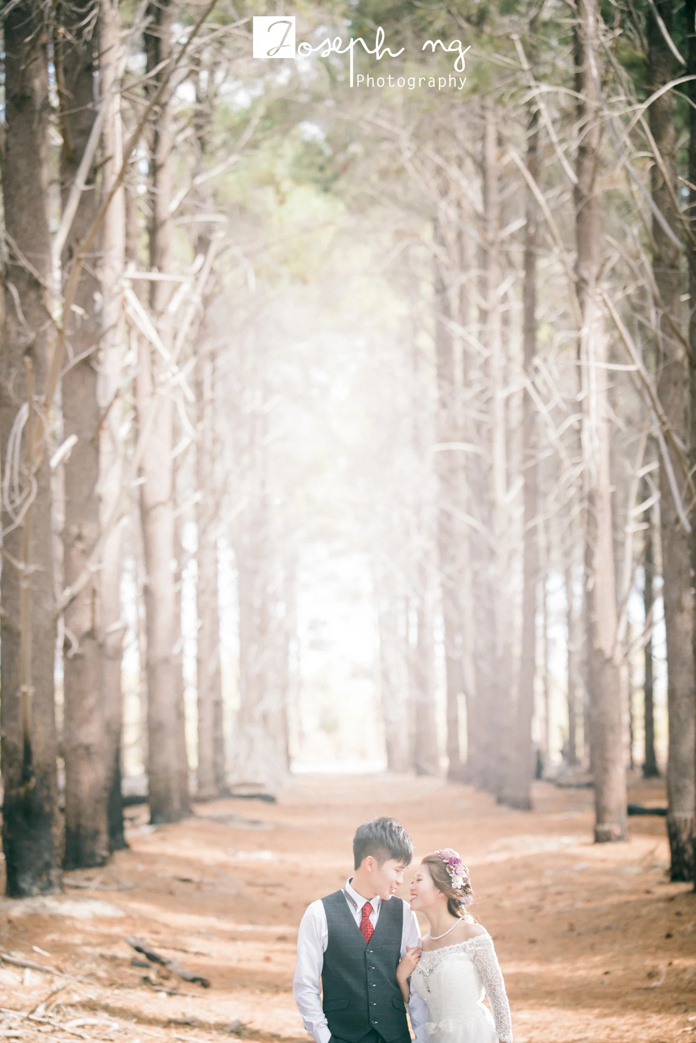 _JNP9311-Edit.jpg