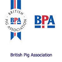 british_pig_association1.gif
