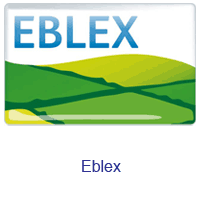 Eblex.gif