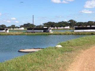 Kafue Fisheries