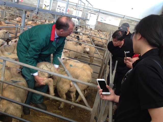 Sedgemoor Auctioneer Robert Venner