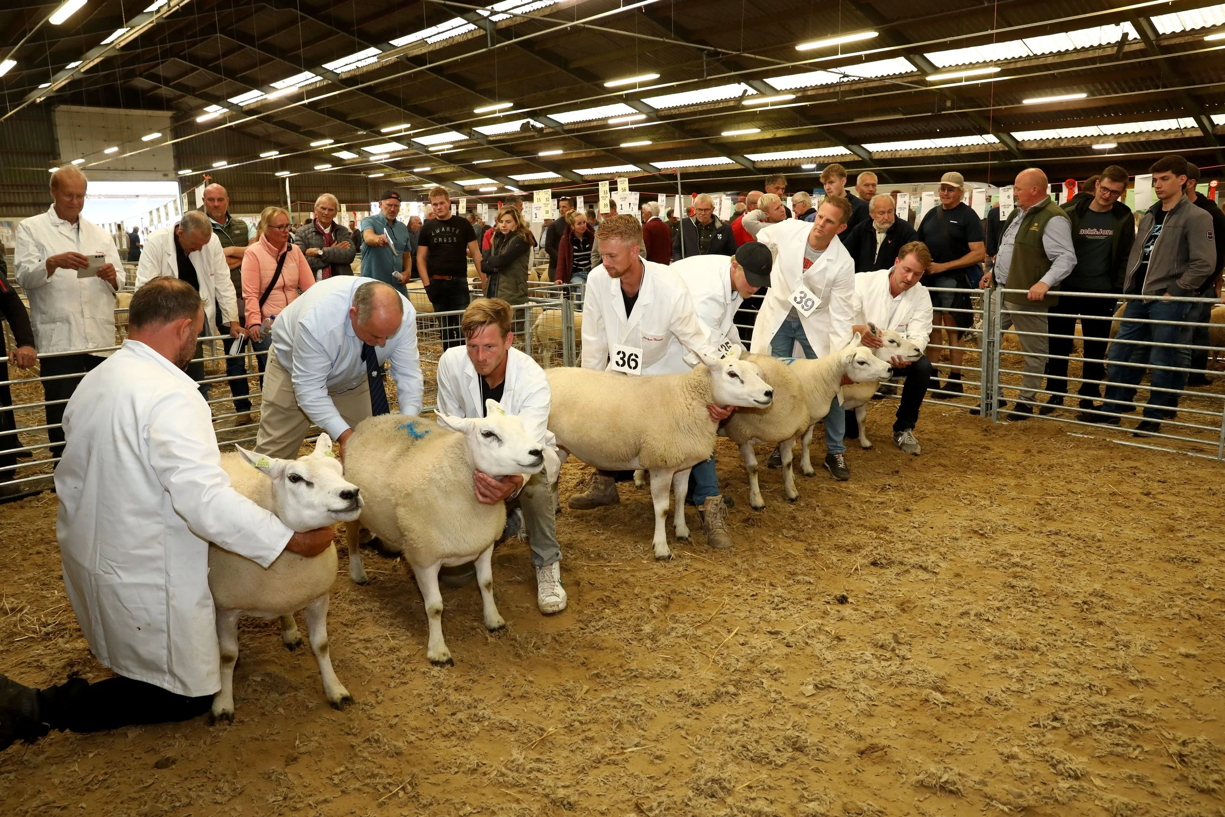 WINTER 2025 EXPORT BULLETIN OUT NOW!