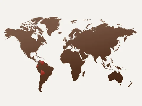 02_centenario.jpg