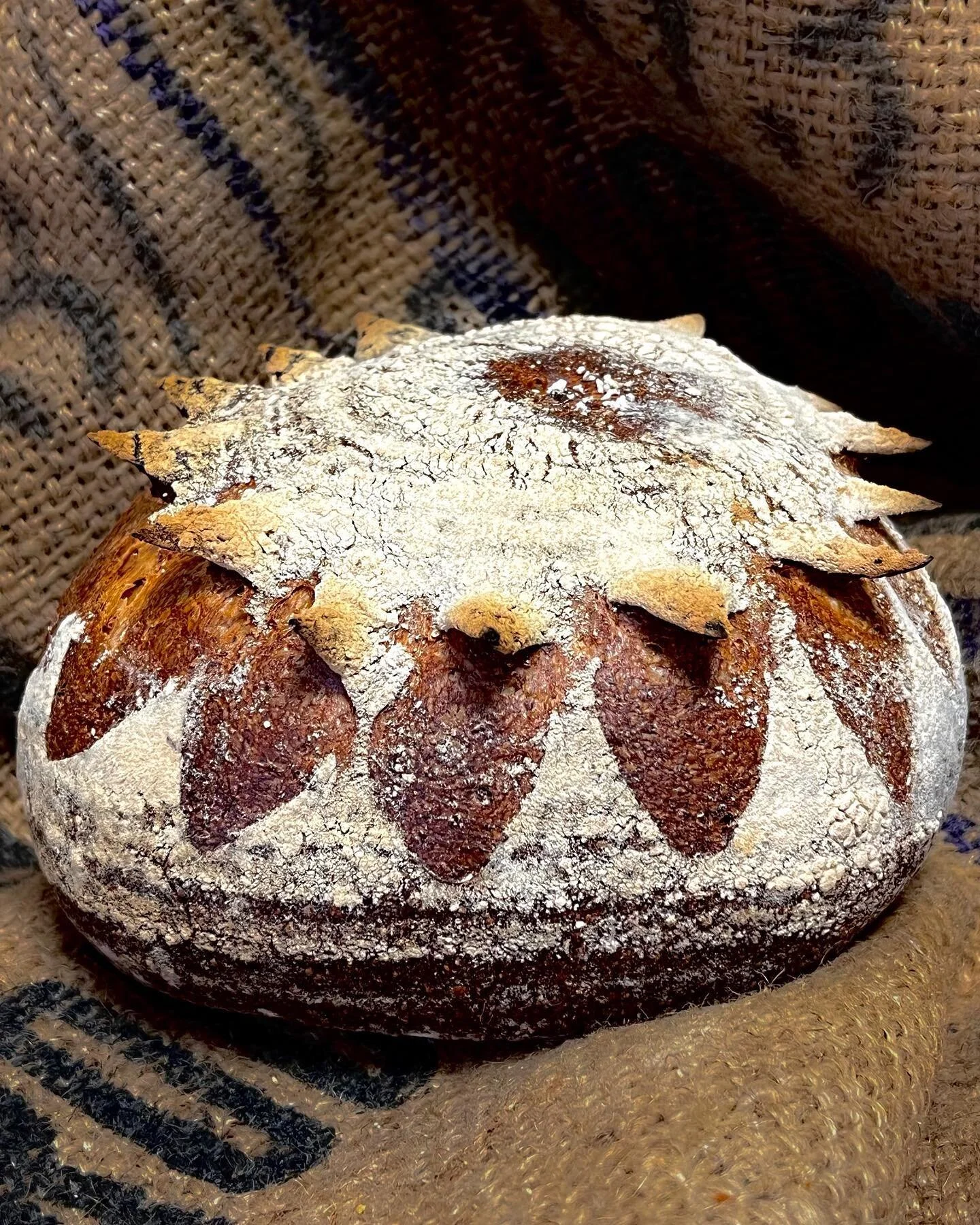Pain du brasseur : pain rustique à la bière, doré et croustillant à l'extérieur, moelleux et savoureux à l'intérieur.
•
•
#boulangerie #artisanal #pain #biere #instafood #foodporn #saignelegi