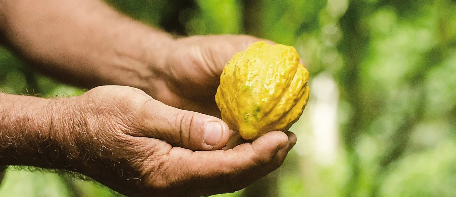 Bolivia lait.jpg