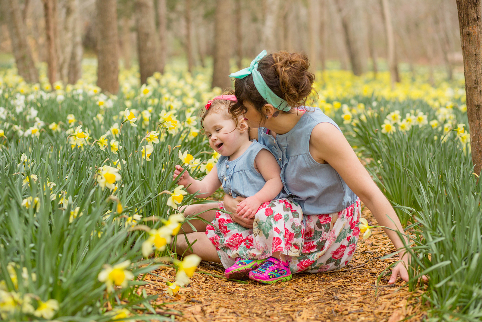 dartmouth daffodil field.jpg