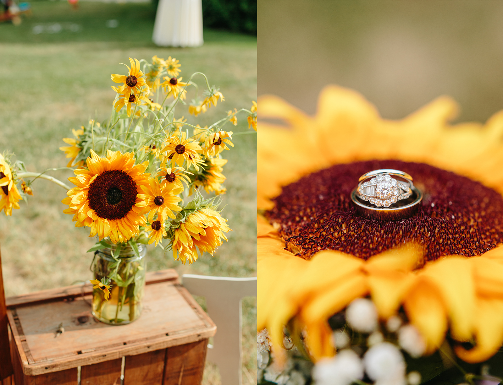 wedding rings.jpg