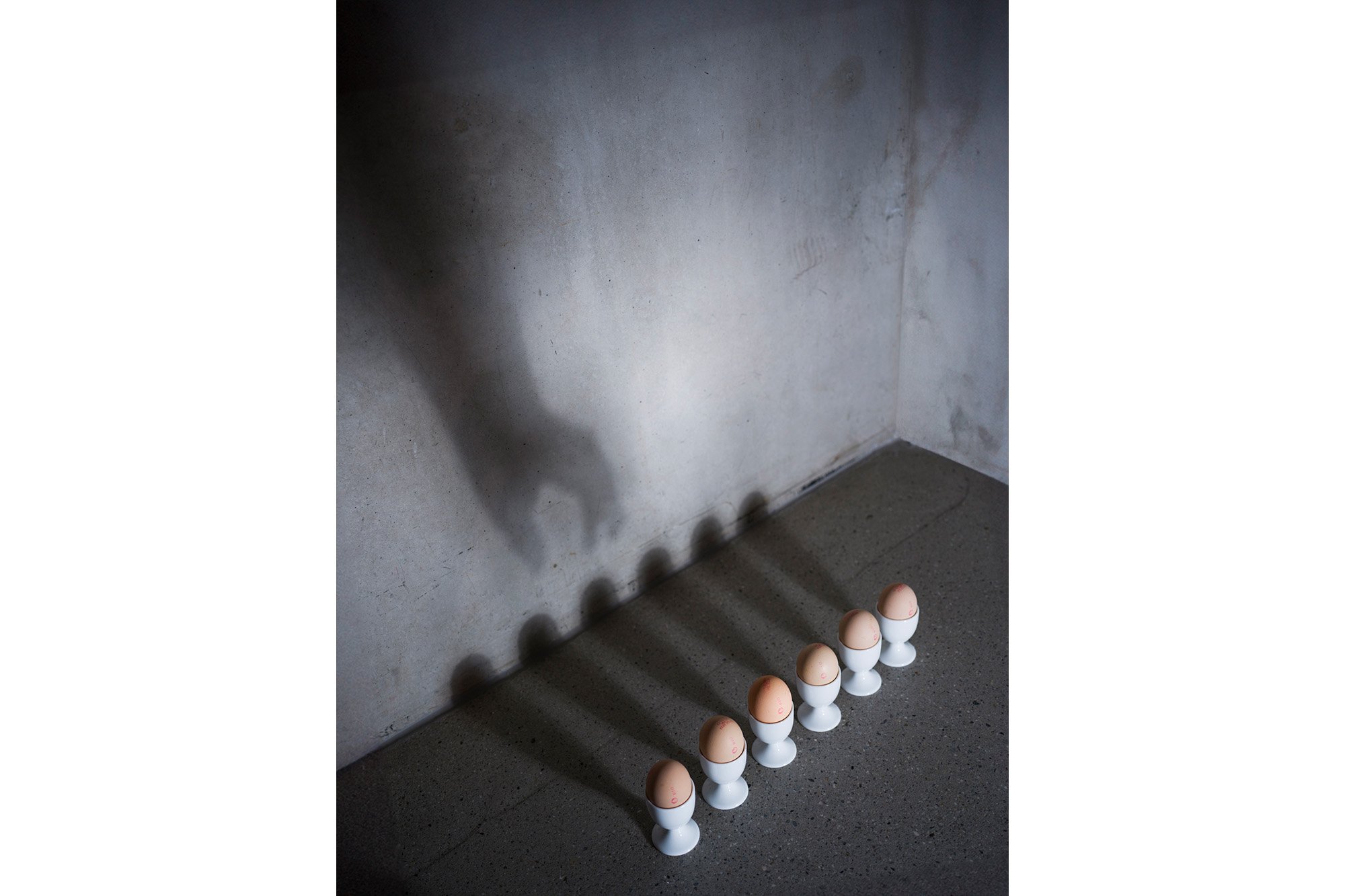 Zsofia_Daniel-Shadows and Eggs_1.jpg