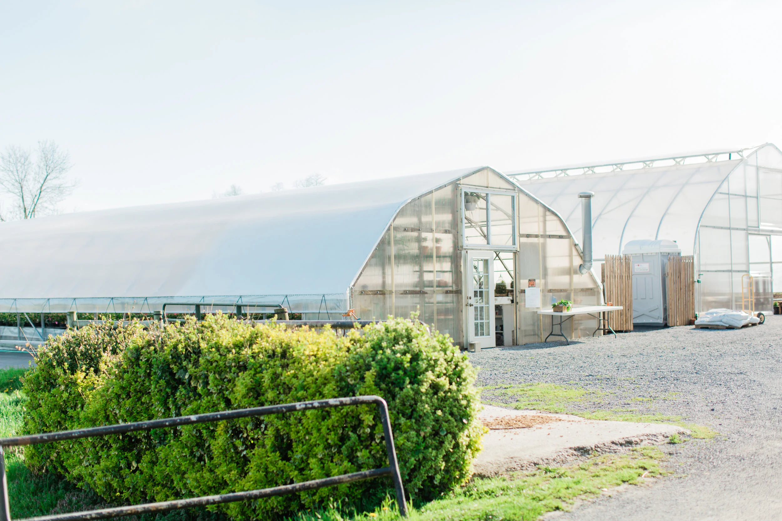 Don't you just love how a greenhouse looks from the outside?