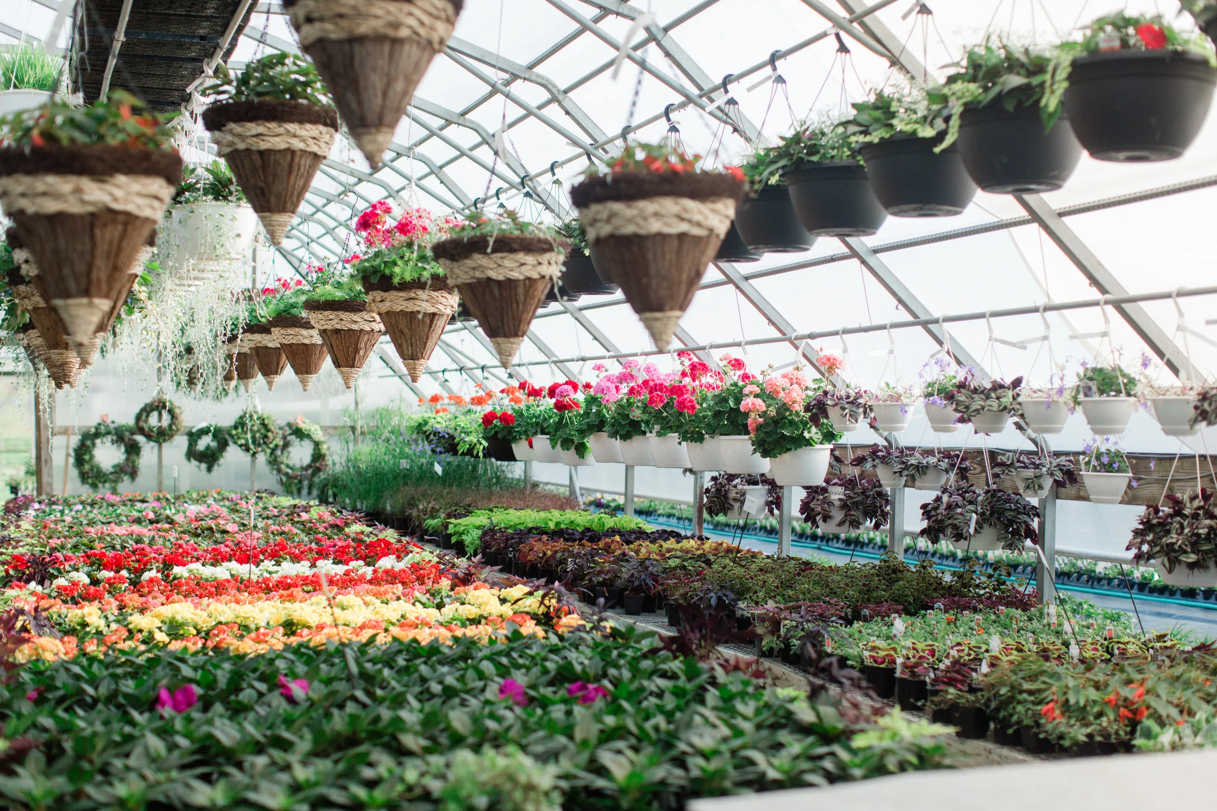 Greenhouse-7.jpg