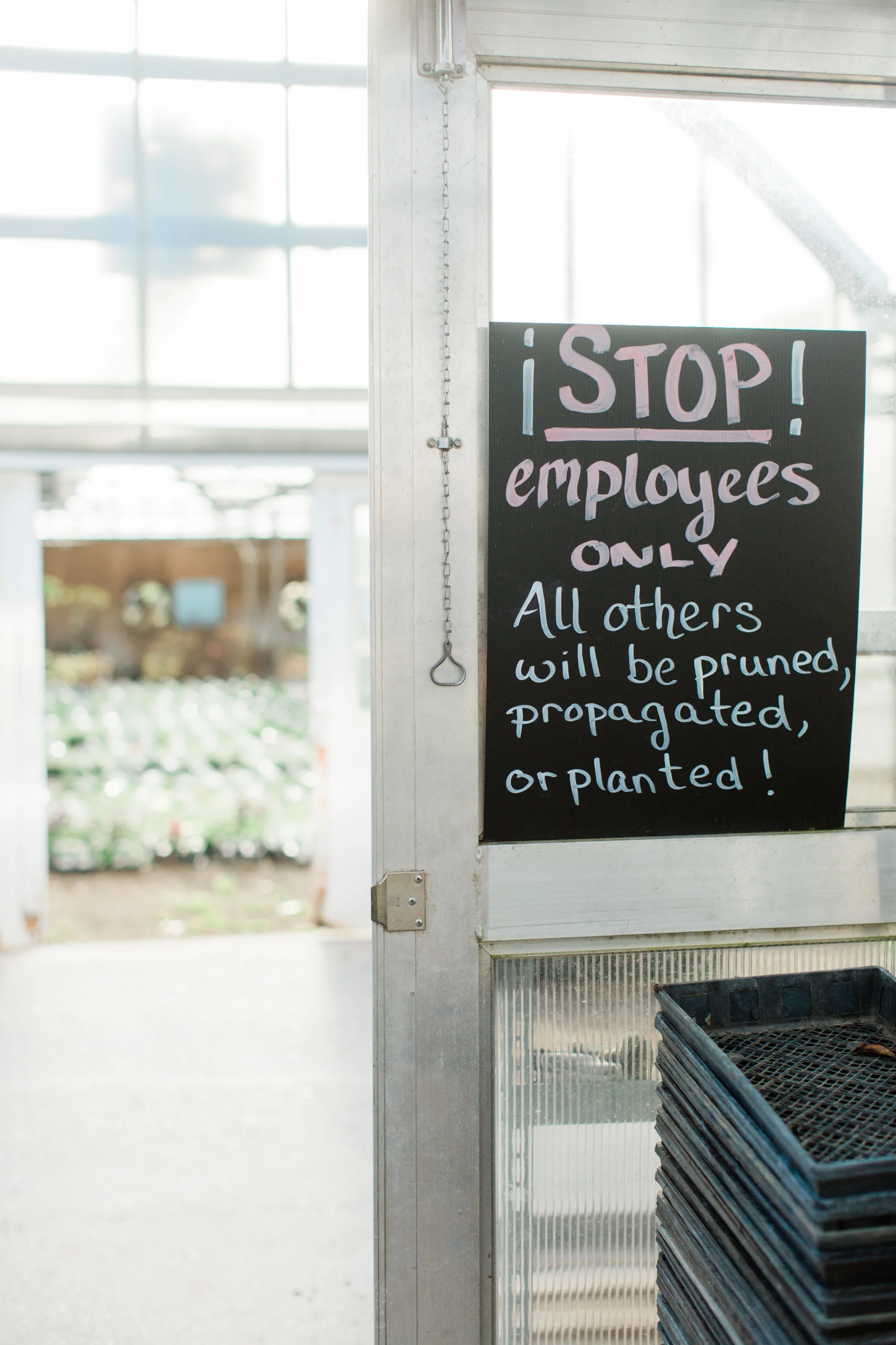 Someone has a great sense of humor. This is where I asked about the lettuce. I ended up buying a container of already grown lettuce and taking home two different packets of seeds which I planted for a later growing to cut from. ( I have no confidence that it will grow) Fresh lettuce!