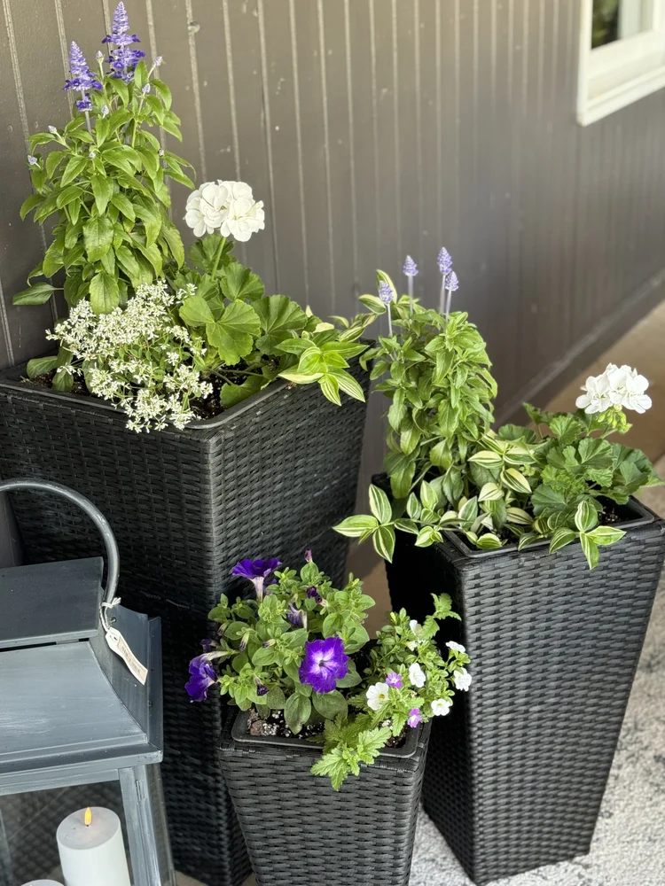 Blog — Kings Furniture