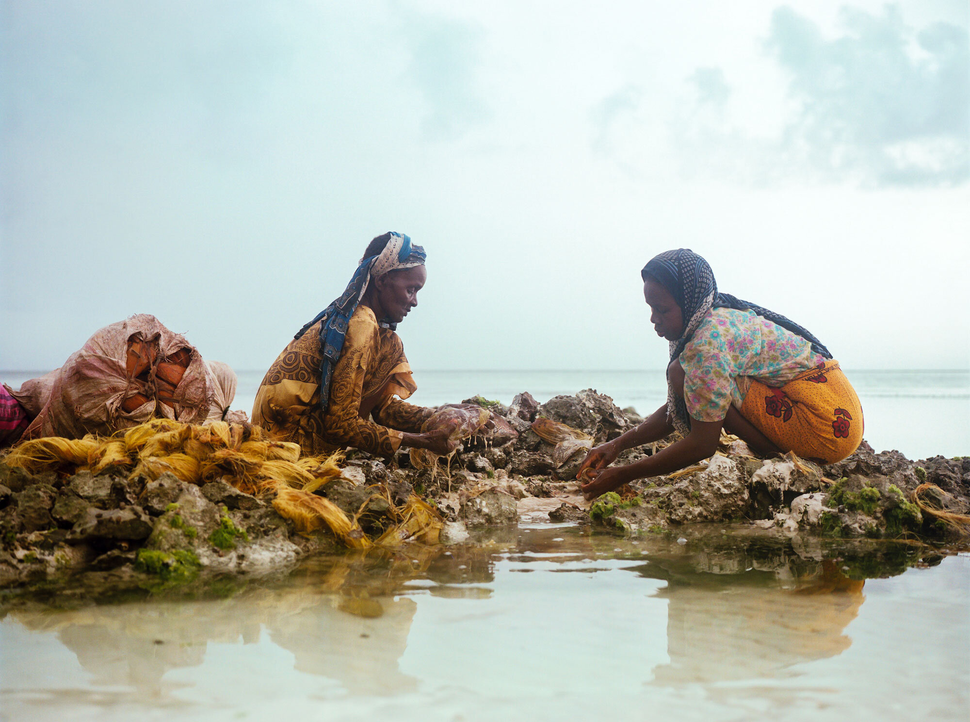  Women collecting coconut husk fiber - Mtende, 2019 