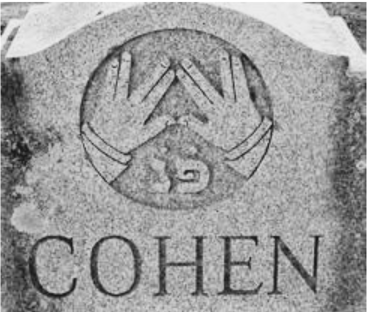 COHEN.png