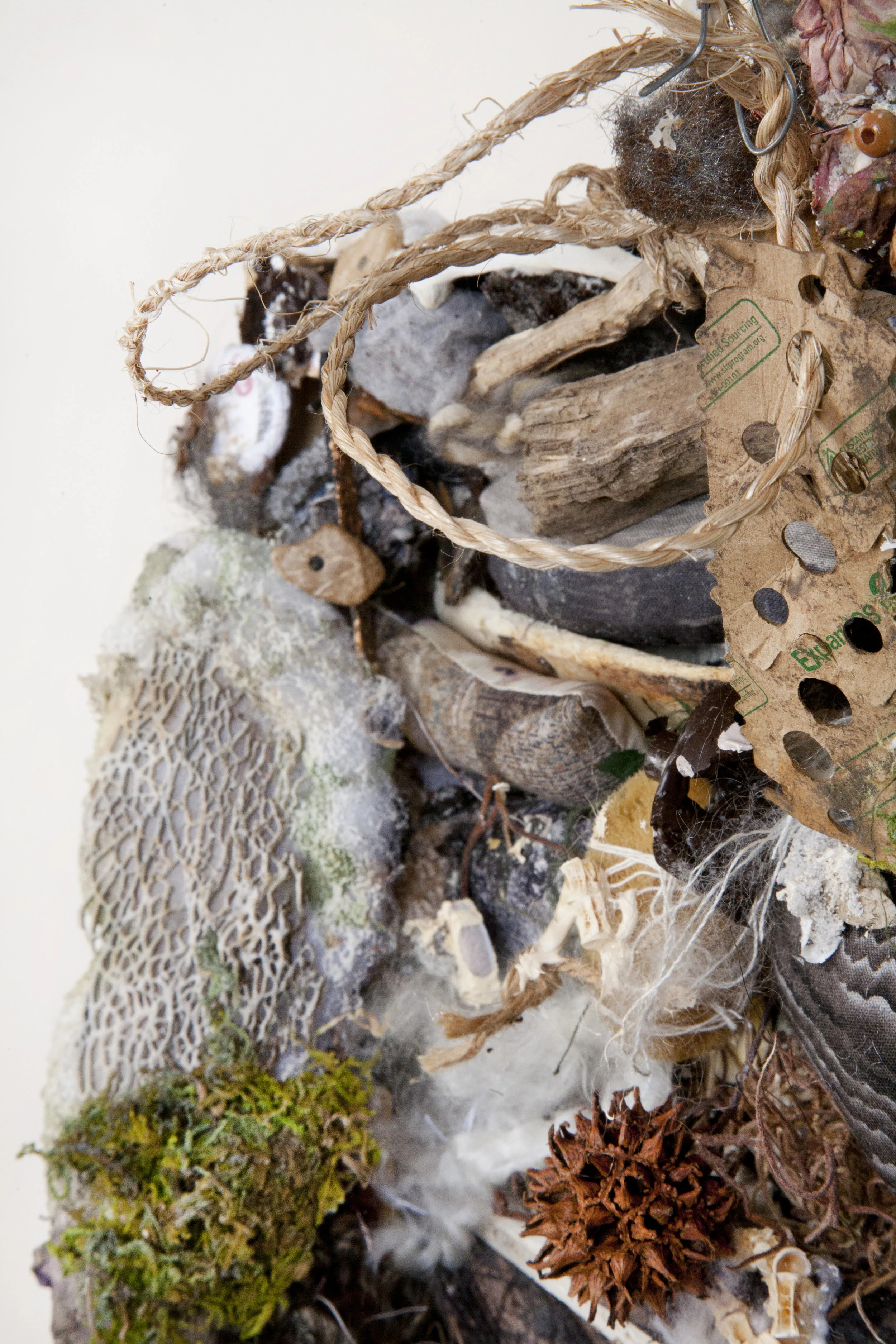 cheney_harriet_Crypto2_detail.jpg