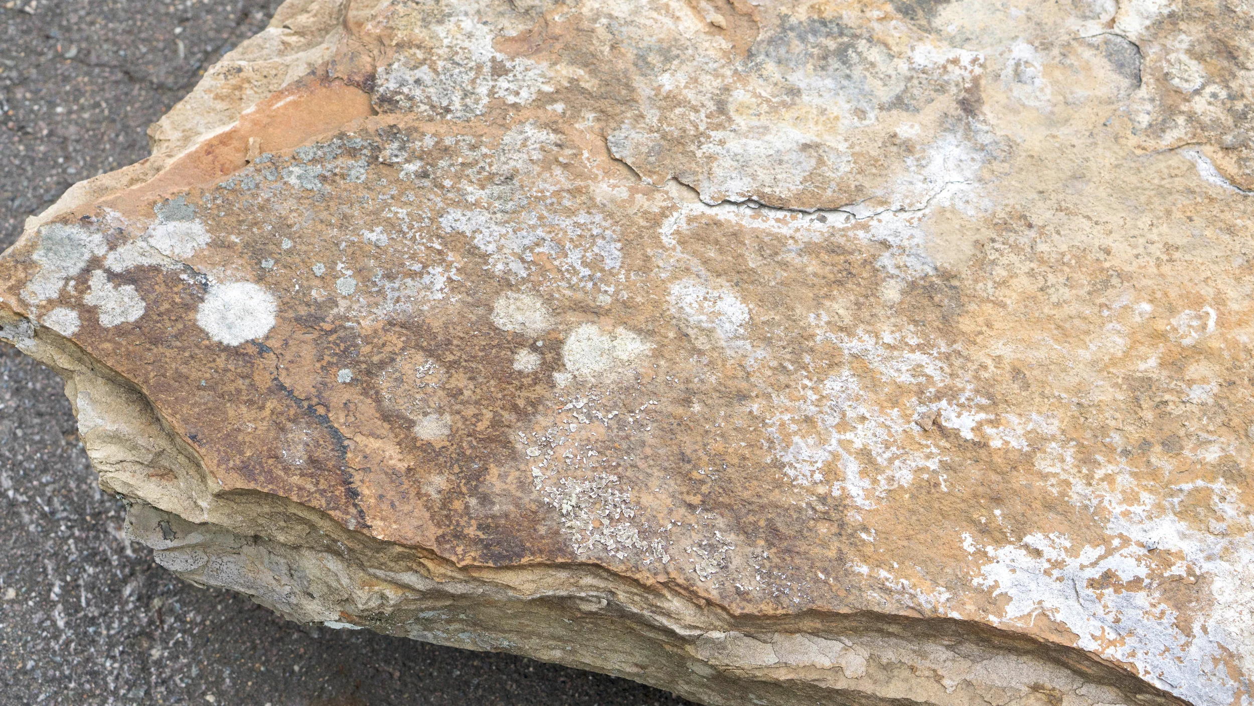 Brown Slab