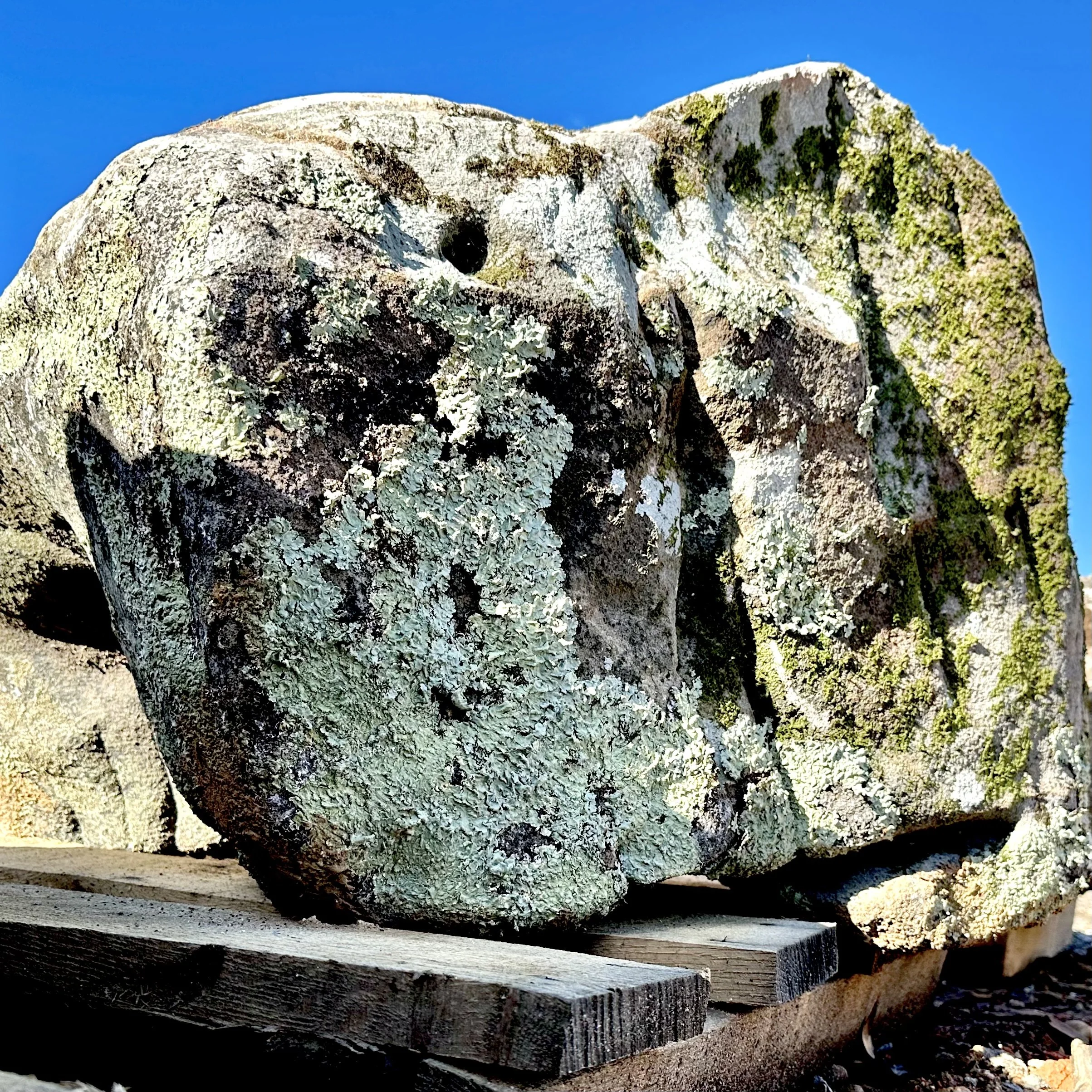 main boulder.jpg