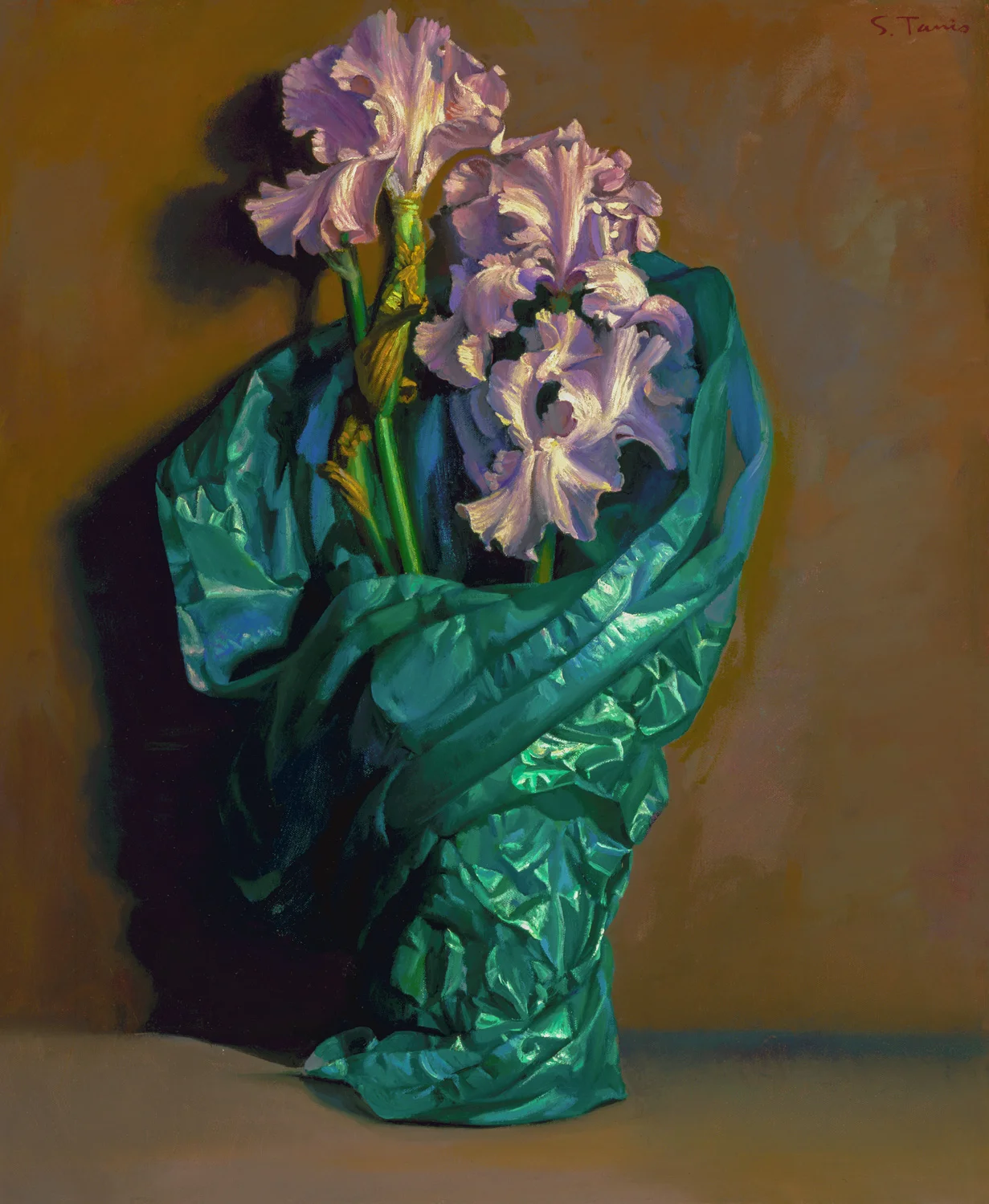 Stephen Tanis