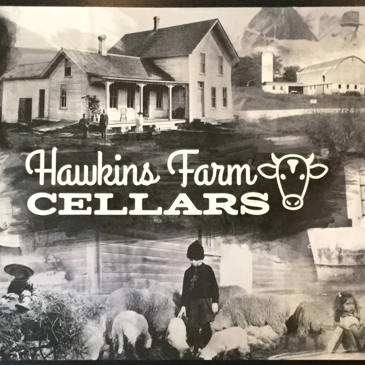 Hawkins Farm Cellar