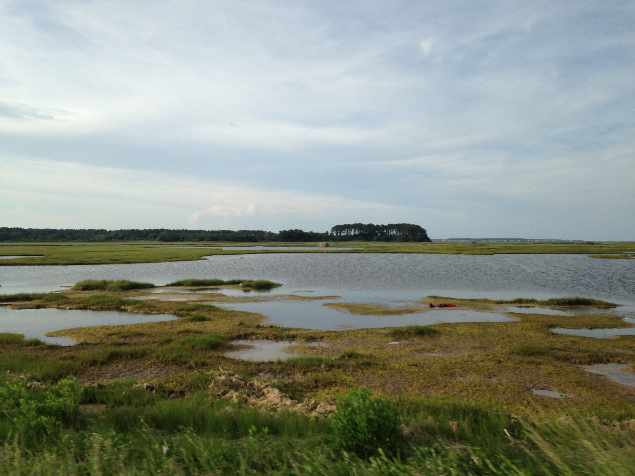 Benefits of Wetlands — Wetlands Watch