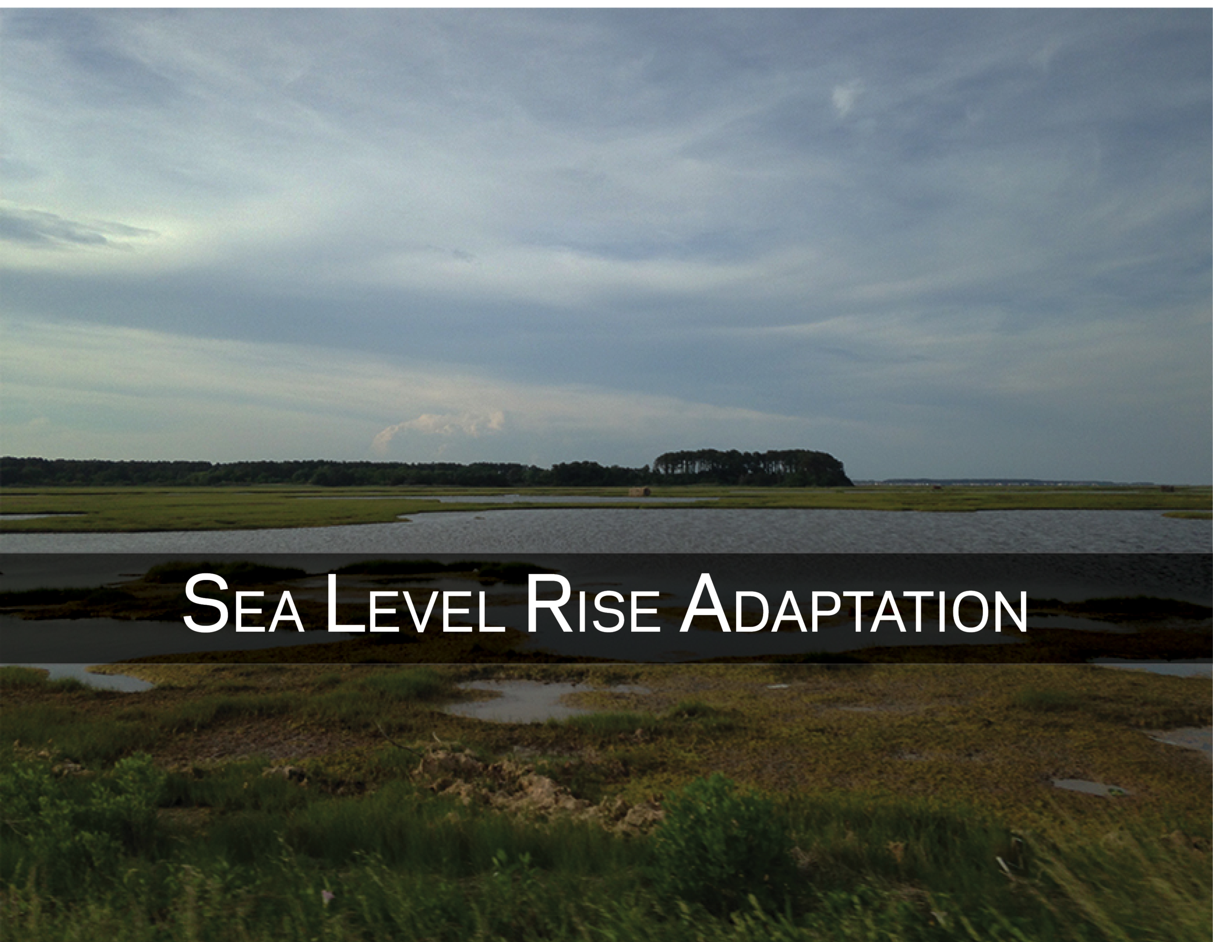 Current Work_Adaptation.png