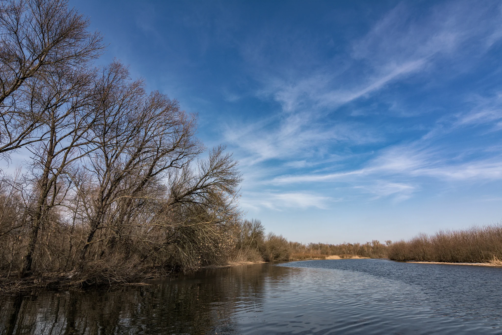 Conservation Easements — Wetlands Watch
