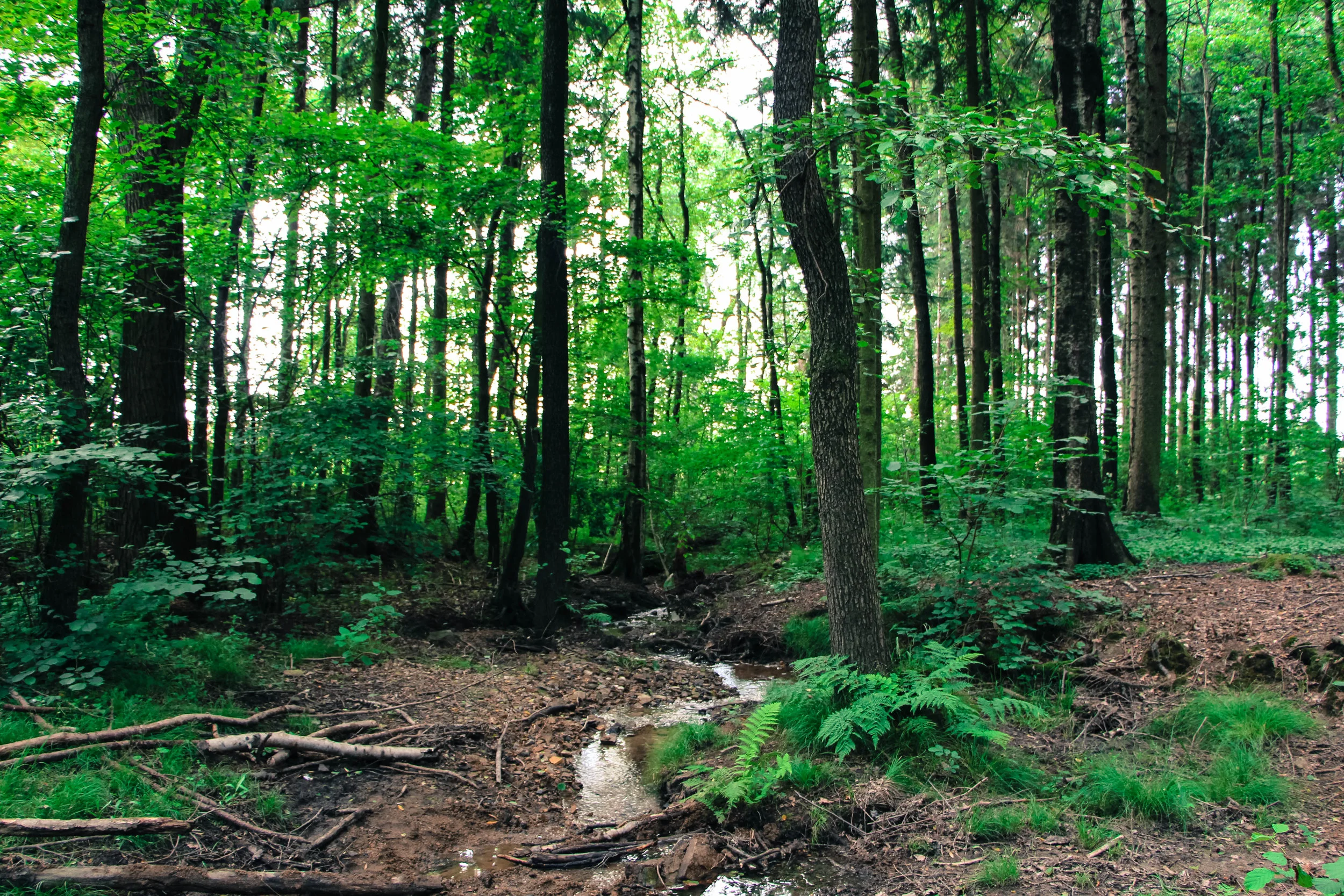 Land Use Value Assessment — Wetlands Watch