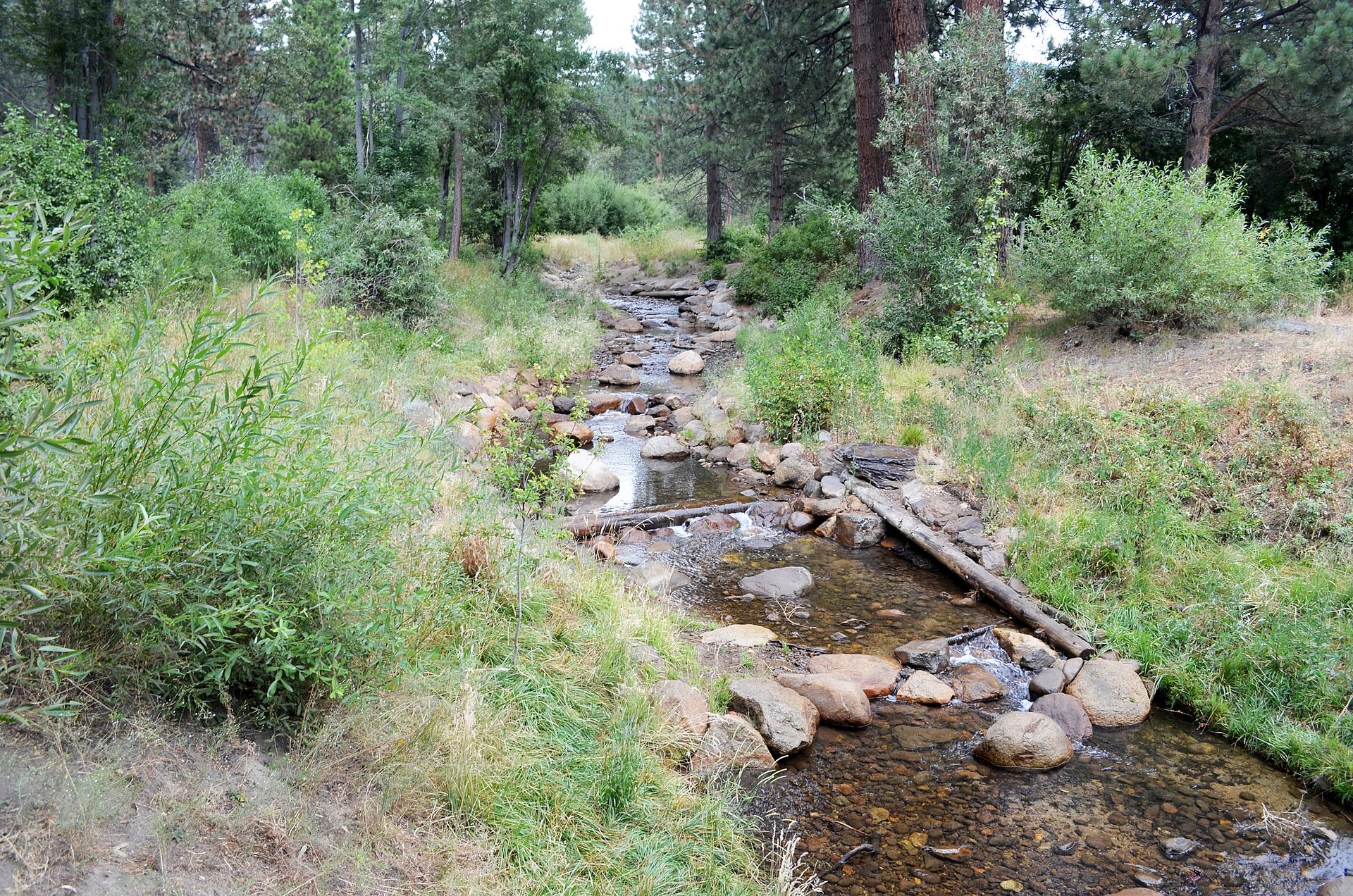 Environmental_restoration_(9563839801).jpg