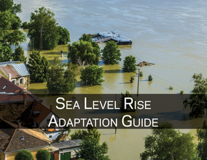 Access our Sea Level Rise Adaptation Guide, designed for locality staff seeking options for resiliency. 