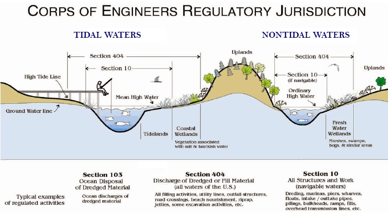 Jurisdictional Wetlands_tide_nontide2.0.jpg