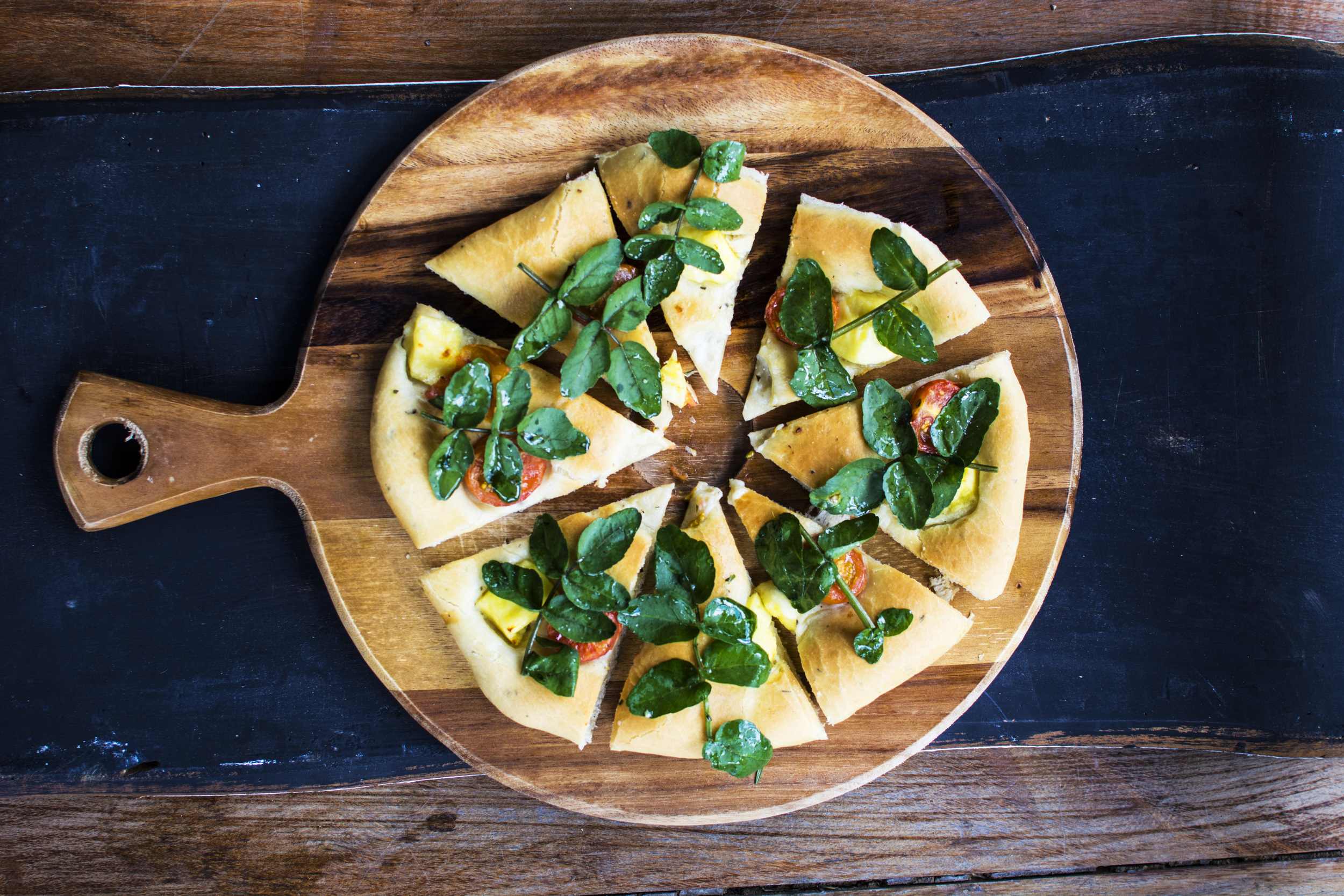 trogon_pizza.jpg