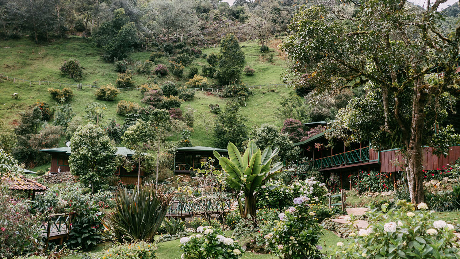   TROGON LODGE   A mountain lodge in the cloud forest of Savegre  San Gerardo de Dota, Costa Rica 