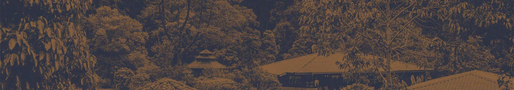 TrogonLodge_0005_Layer 3.jpg