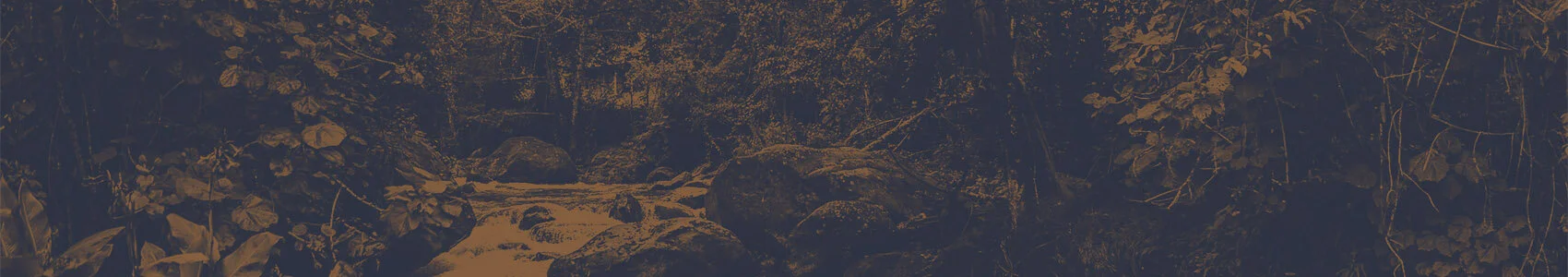 TrogonLodge_0004_Layer 4.jpg