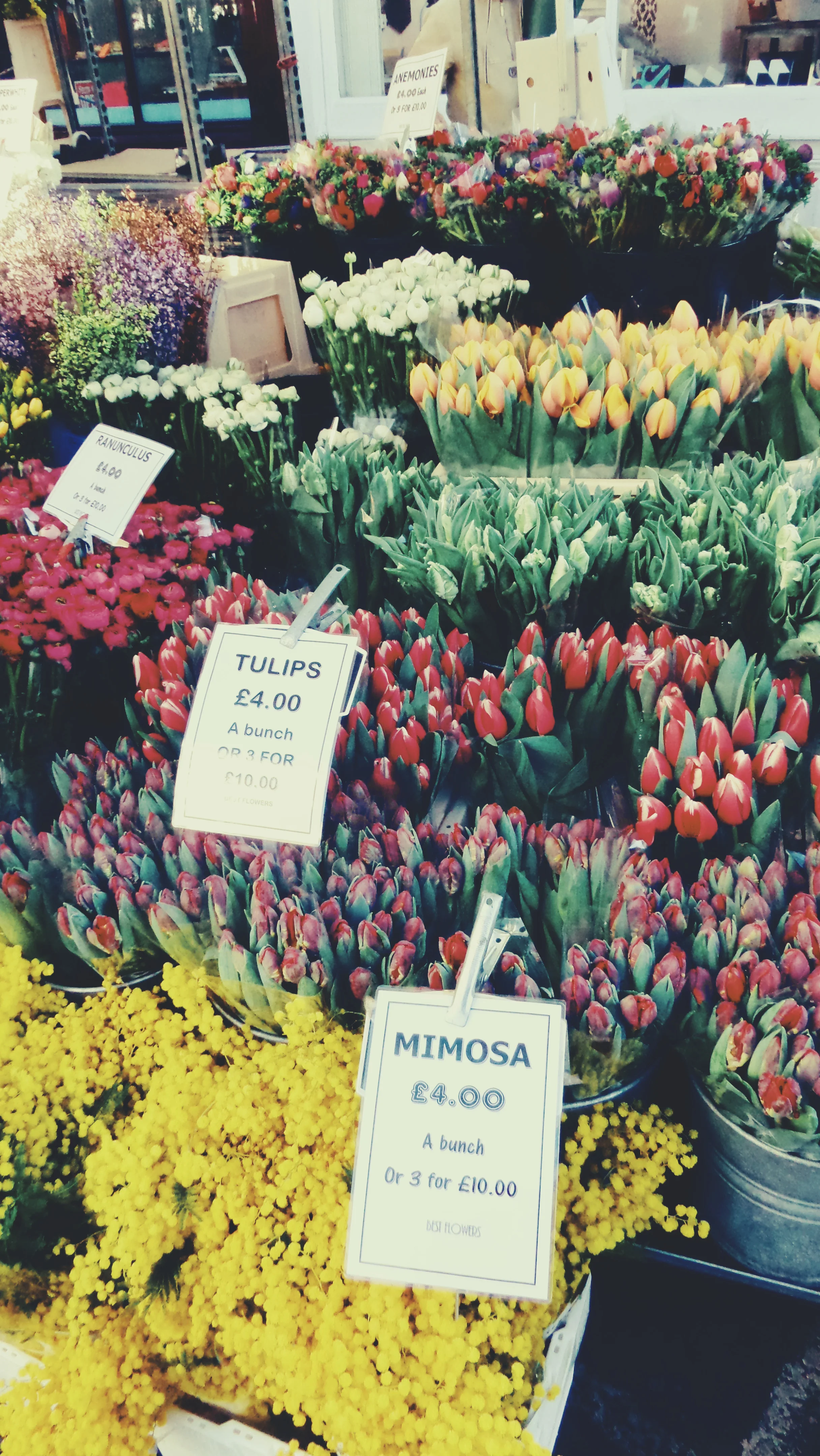 Columbia Road Flower Market