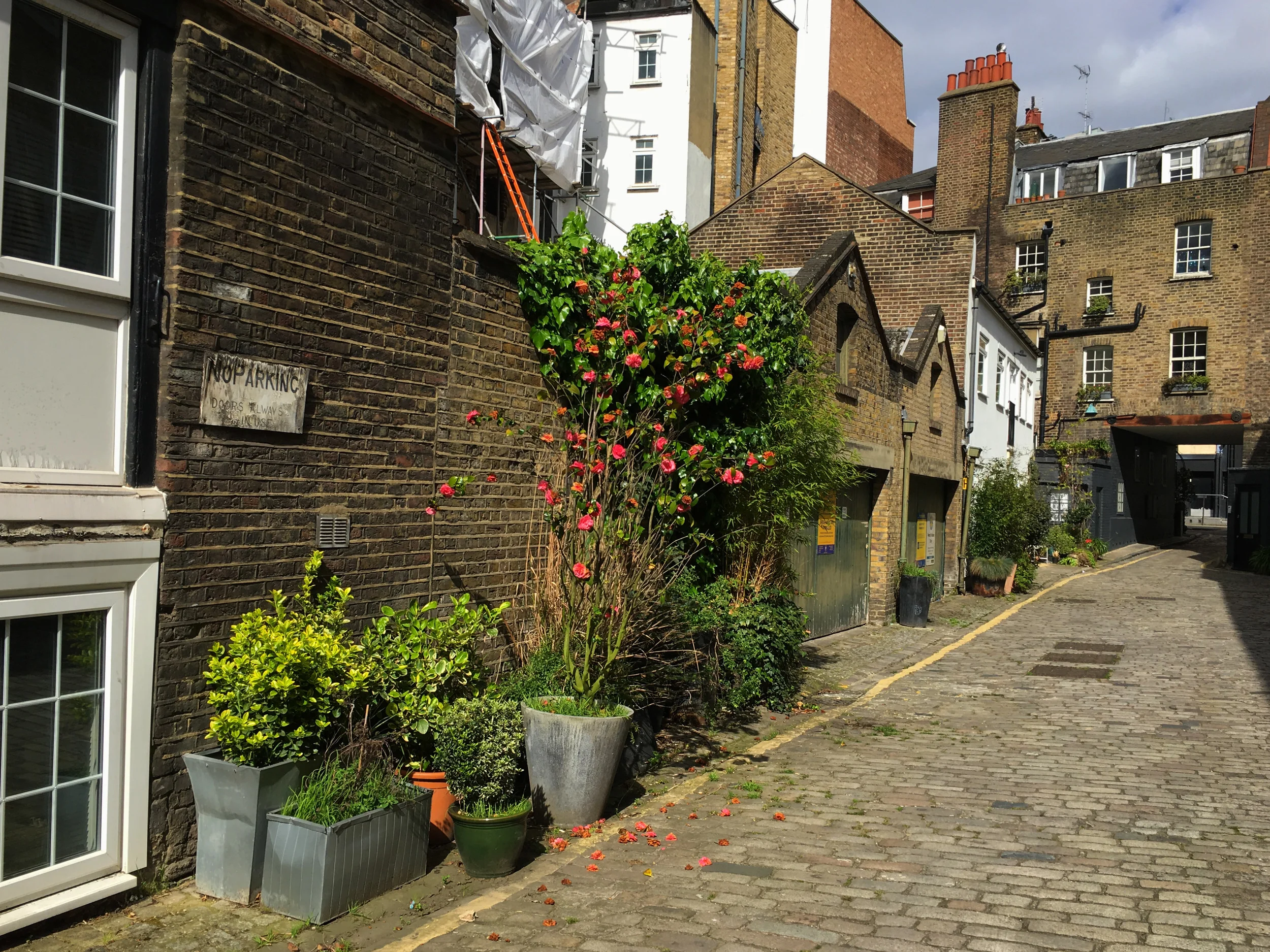 Kynance Mews (own photo)