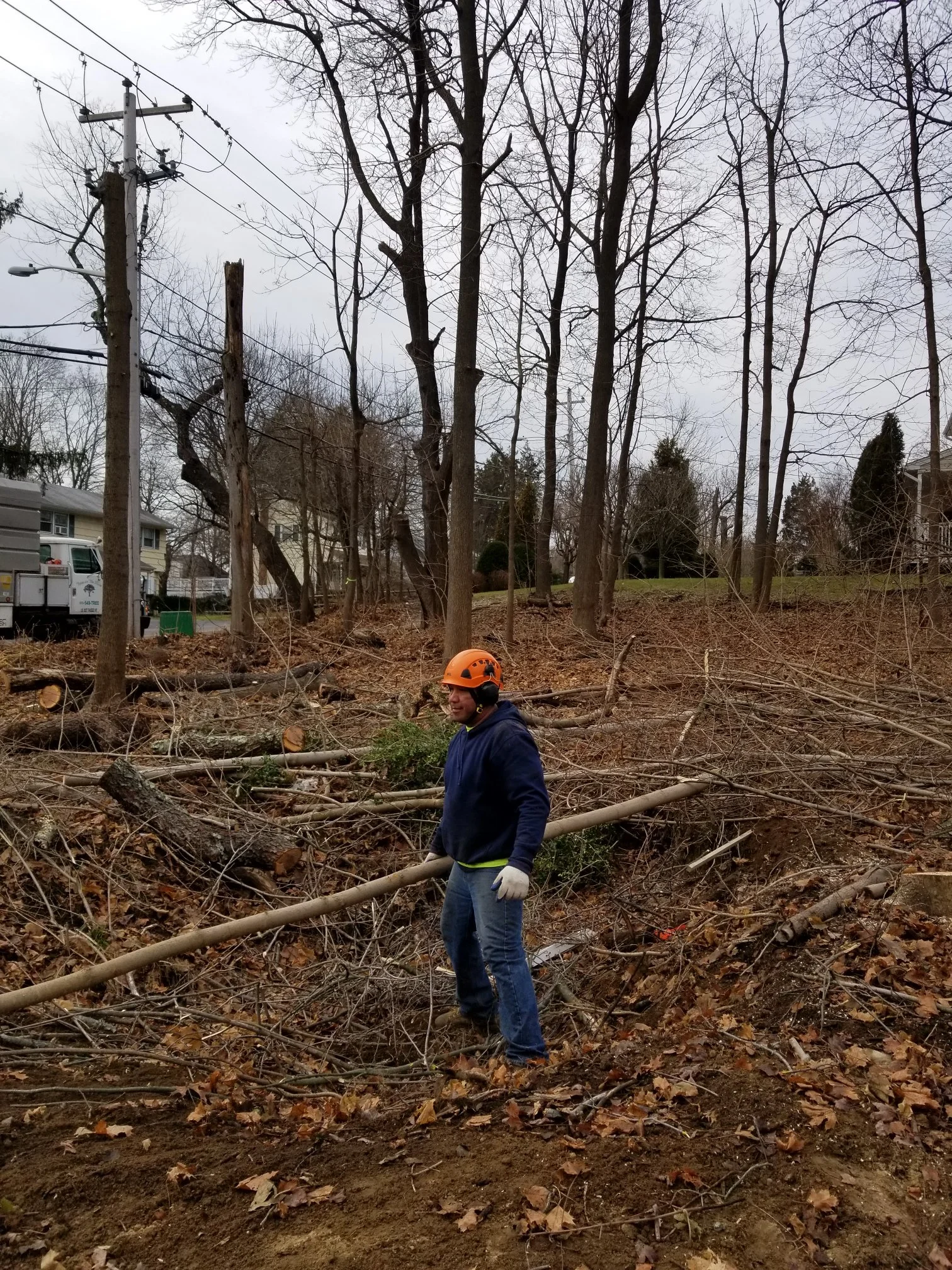 Resized_20190103_104200_4858.jpeg